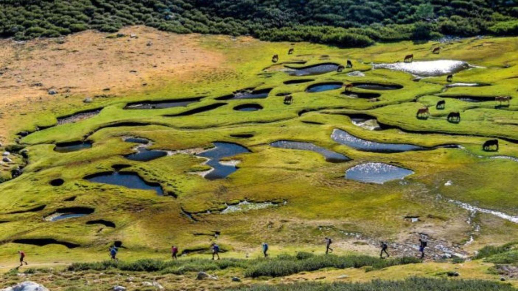 Domaine Le Mouflon D'Or Hotel Зонза Екстериор снимка